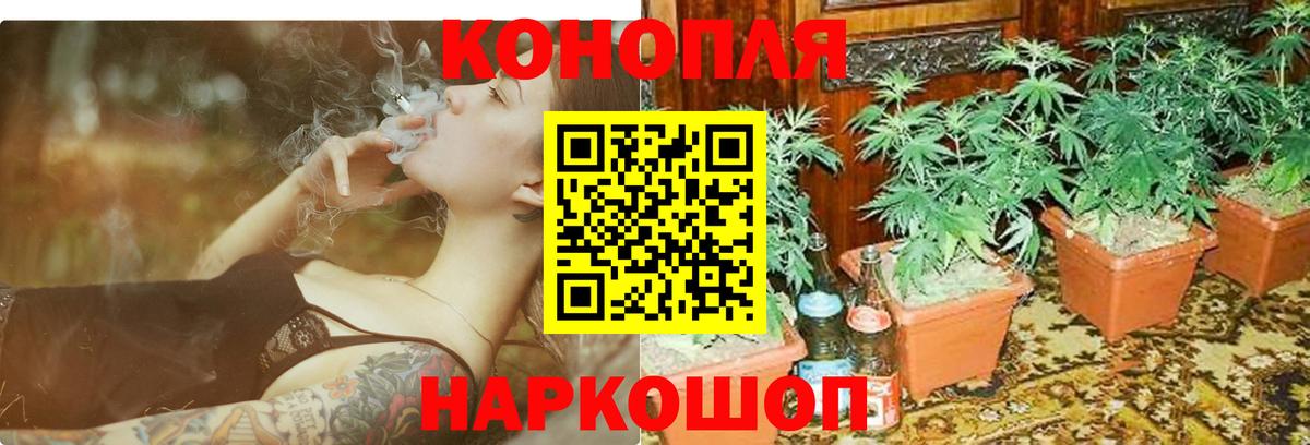 Марихуана семена Губкин
